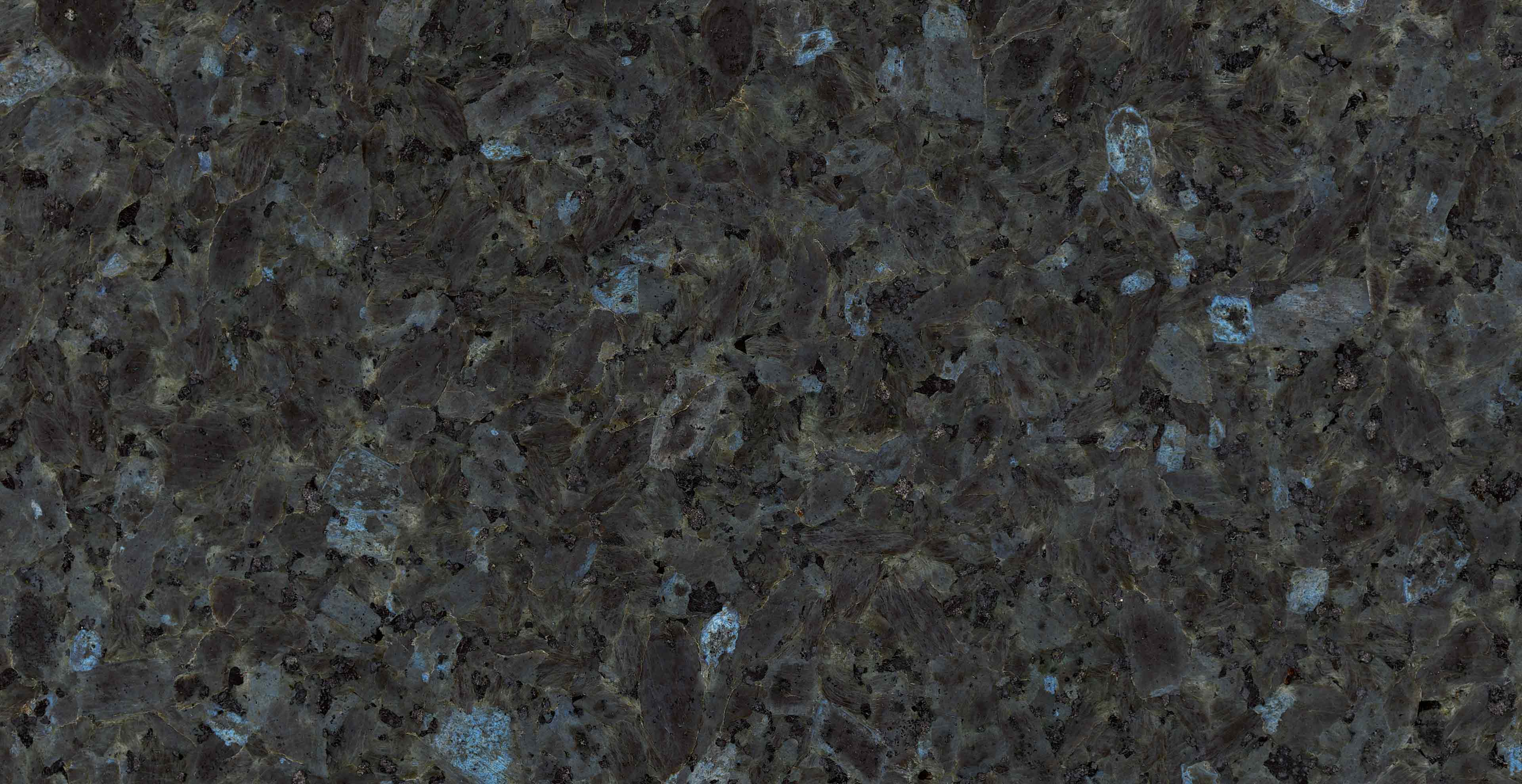 Labrador Sea Pearl