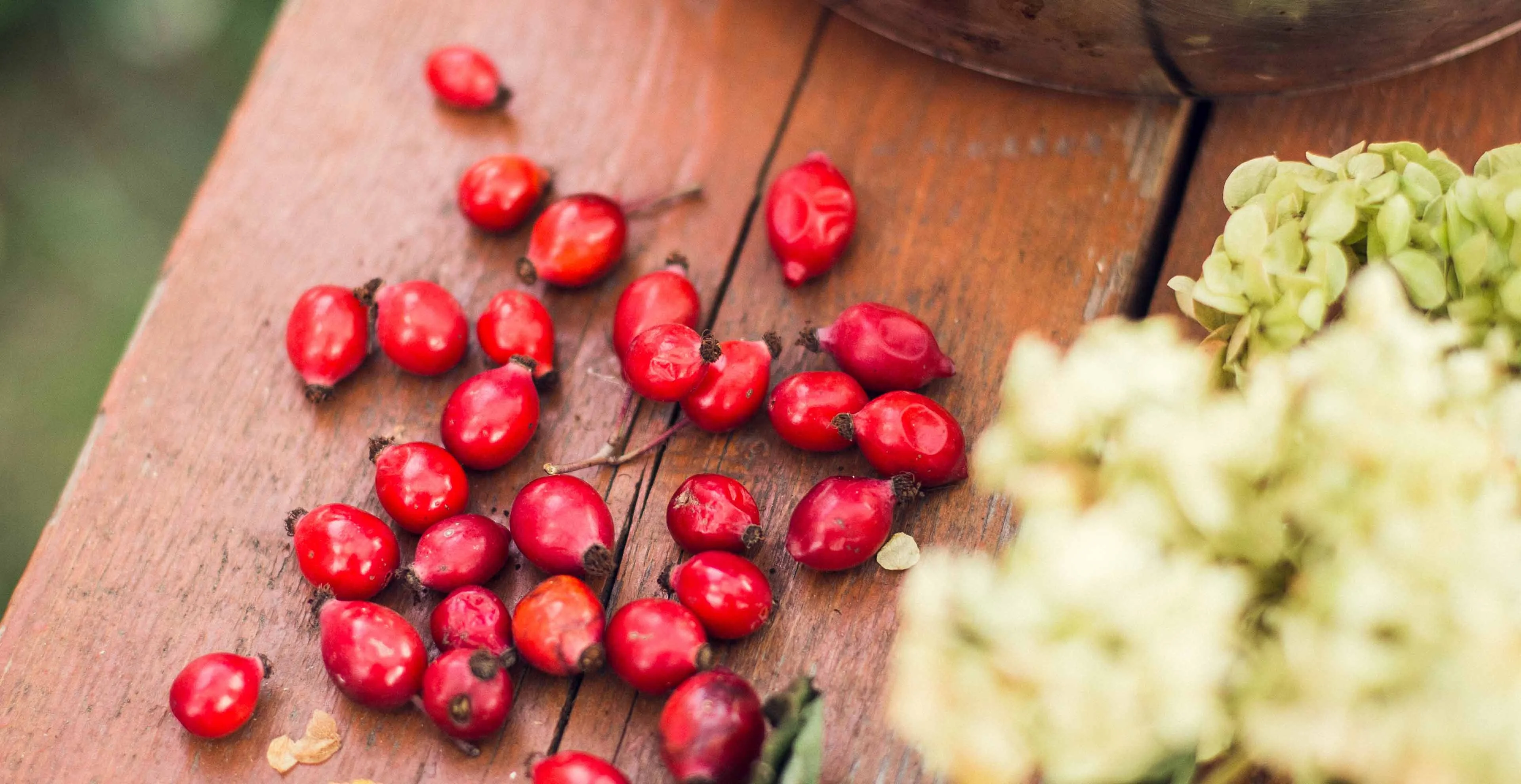 Marquardt Küchen: Hagebutten Marmelade