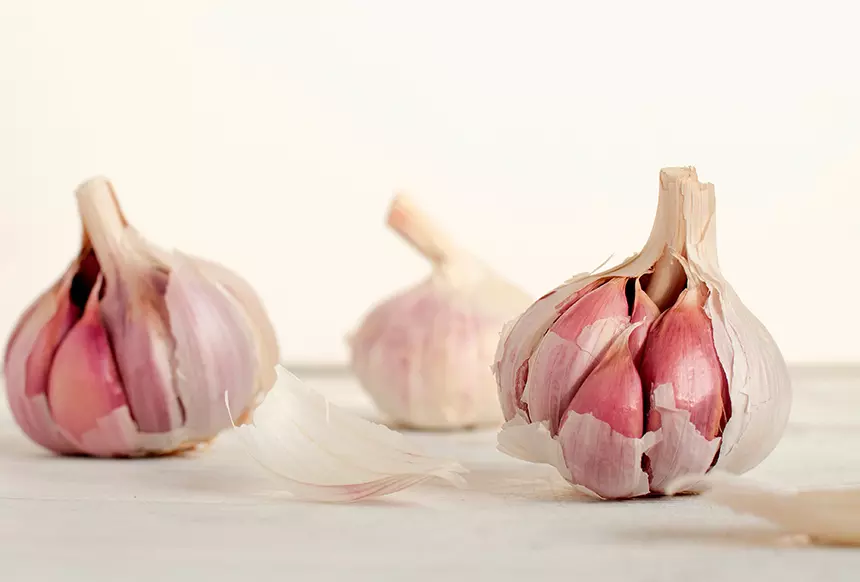 Frischer Knoblauch