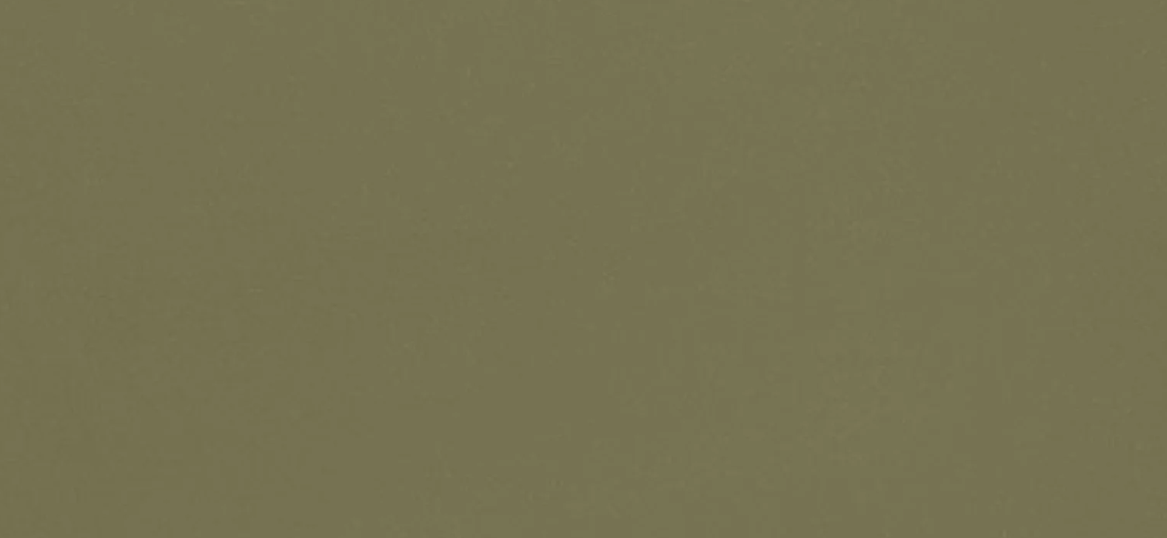 Front Manhattan Olive