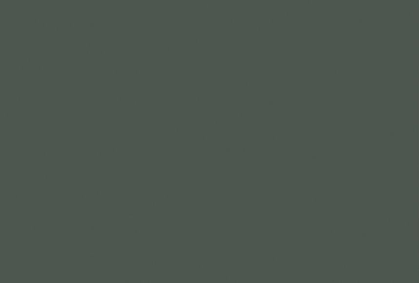 Nolte Plus Black Green