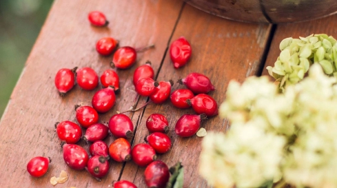 Marquardt Küchen: Hagebutten Marmelade