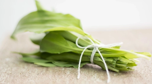 Marquardt Küchen: 3 Bärlauch Rezepte Für Den Frühling