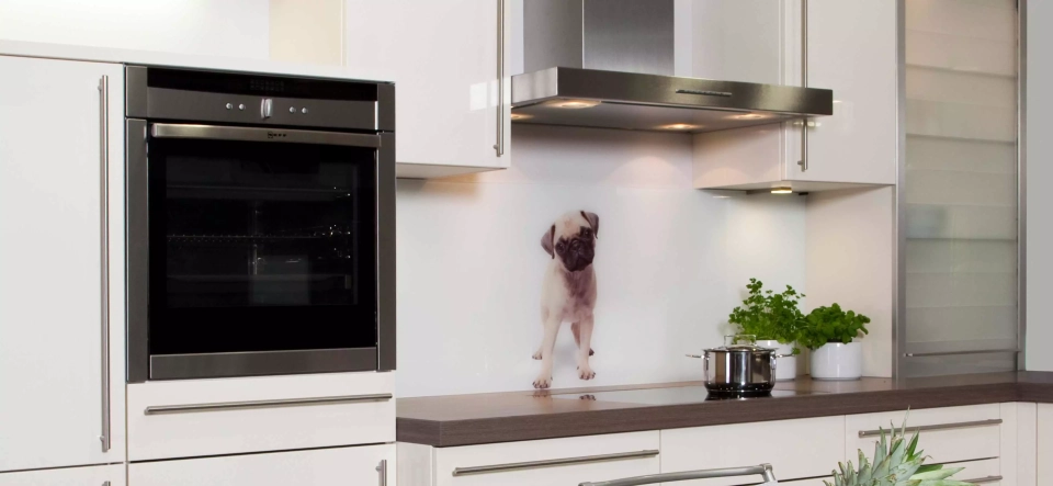 Marquardt Küchen: Anyconv Com Glas Nischenpaneel Hund